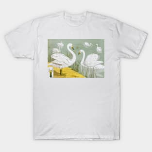 Cygne sauvage 1897 T-Shirt